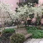 2-Zimmer-Apartment \